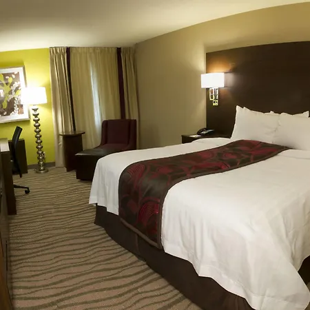 Fairfield Inn & Suites By Marriott Dallas Dfw Airport South/Irving-2